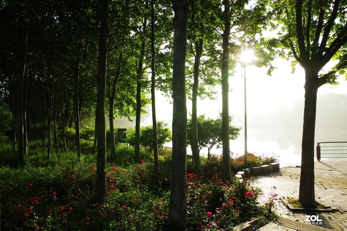 雨过天晴，百花盛开