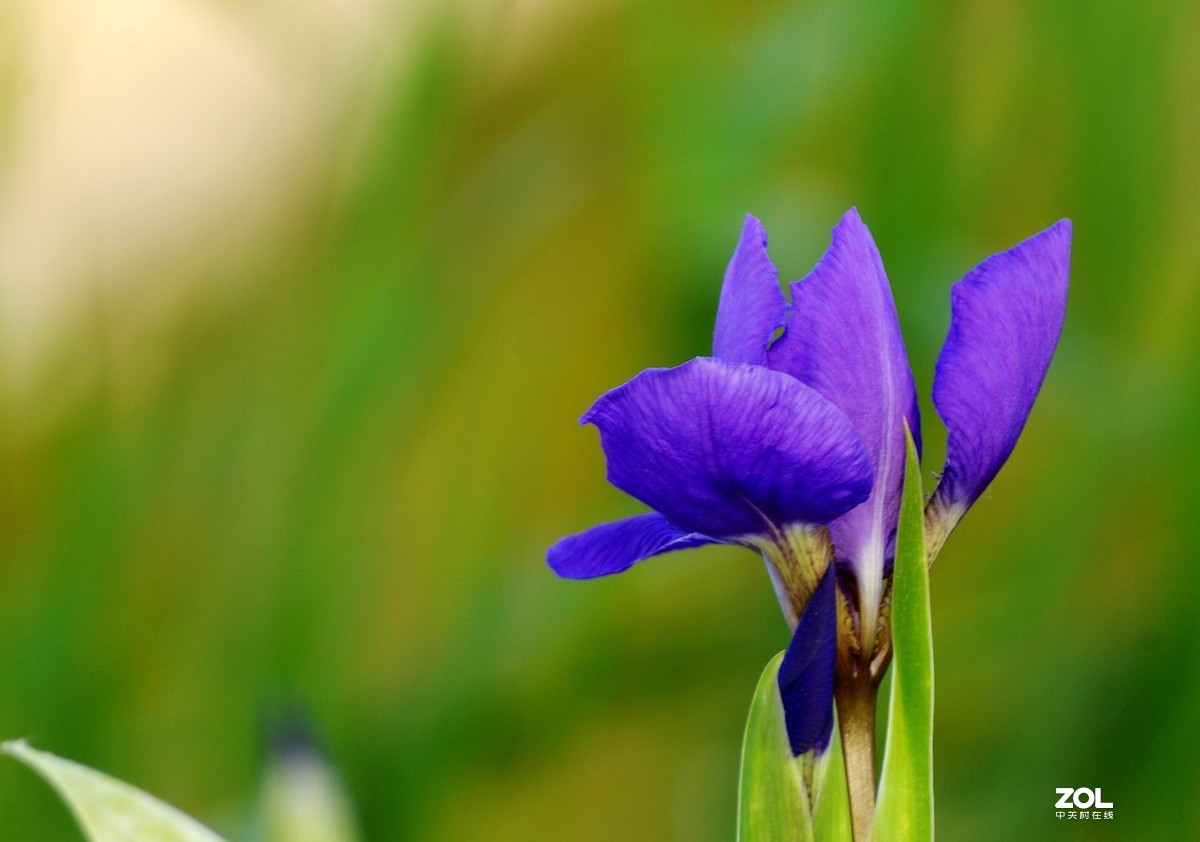 雨过天晴，百花盛开