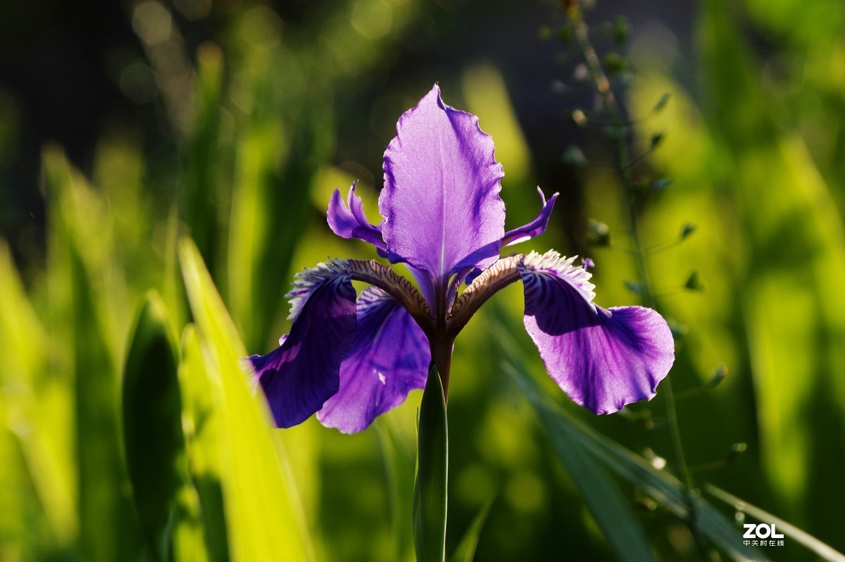 雨过天晴，百花盛开