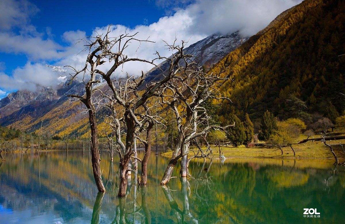 四姑娘山长坪沟秋色