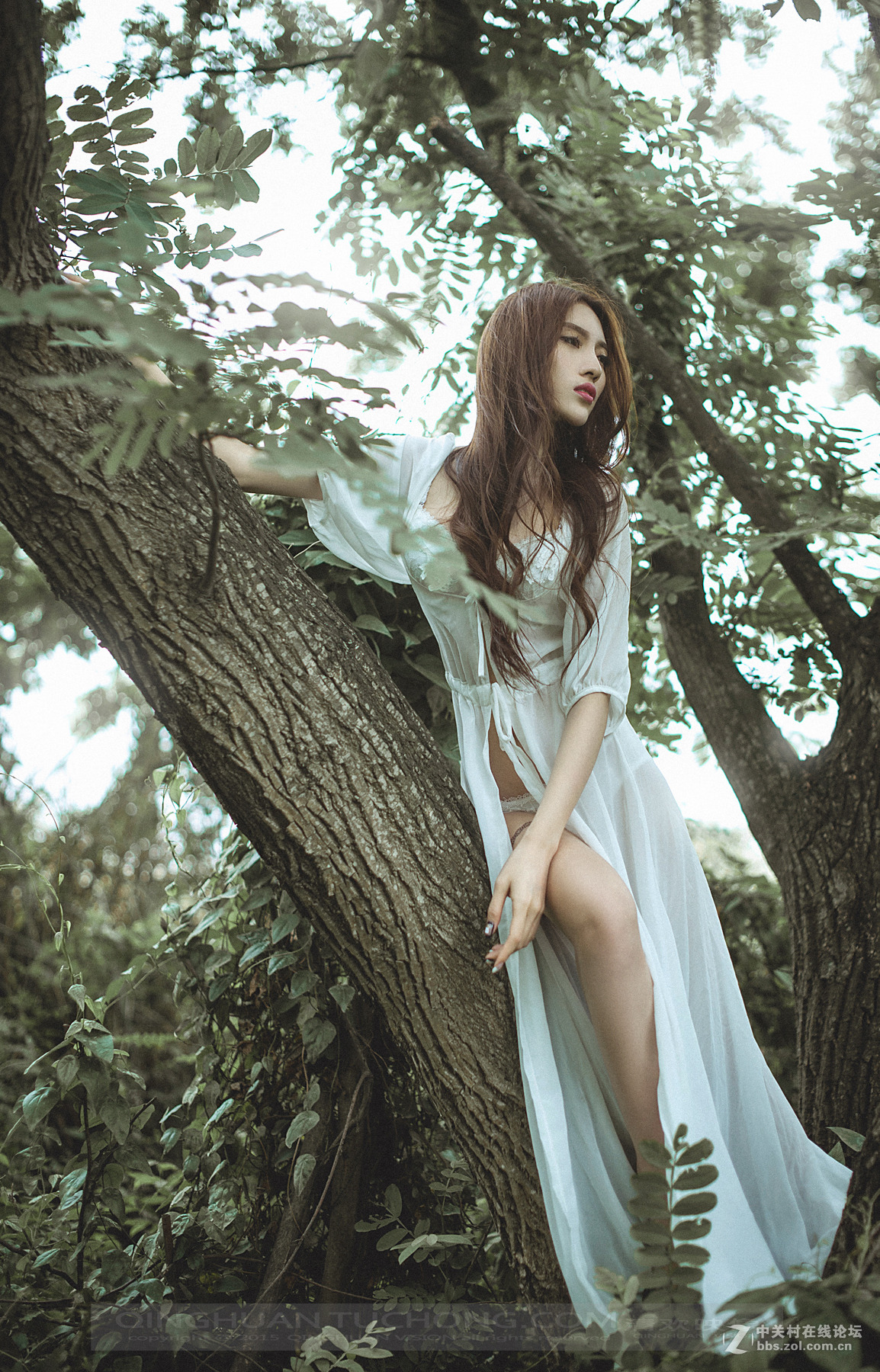 【清欢映像】放逐