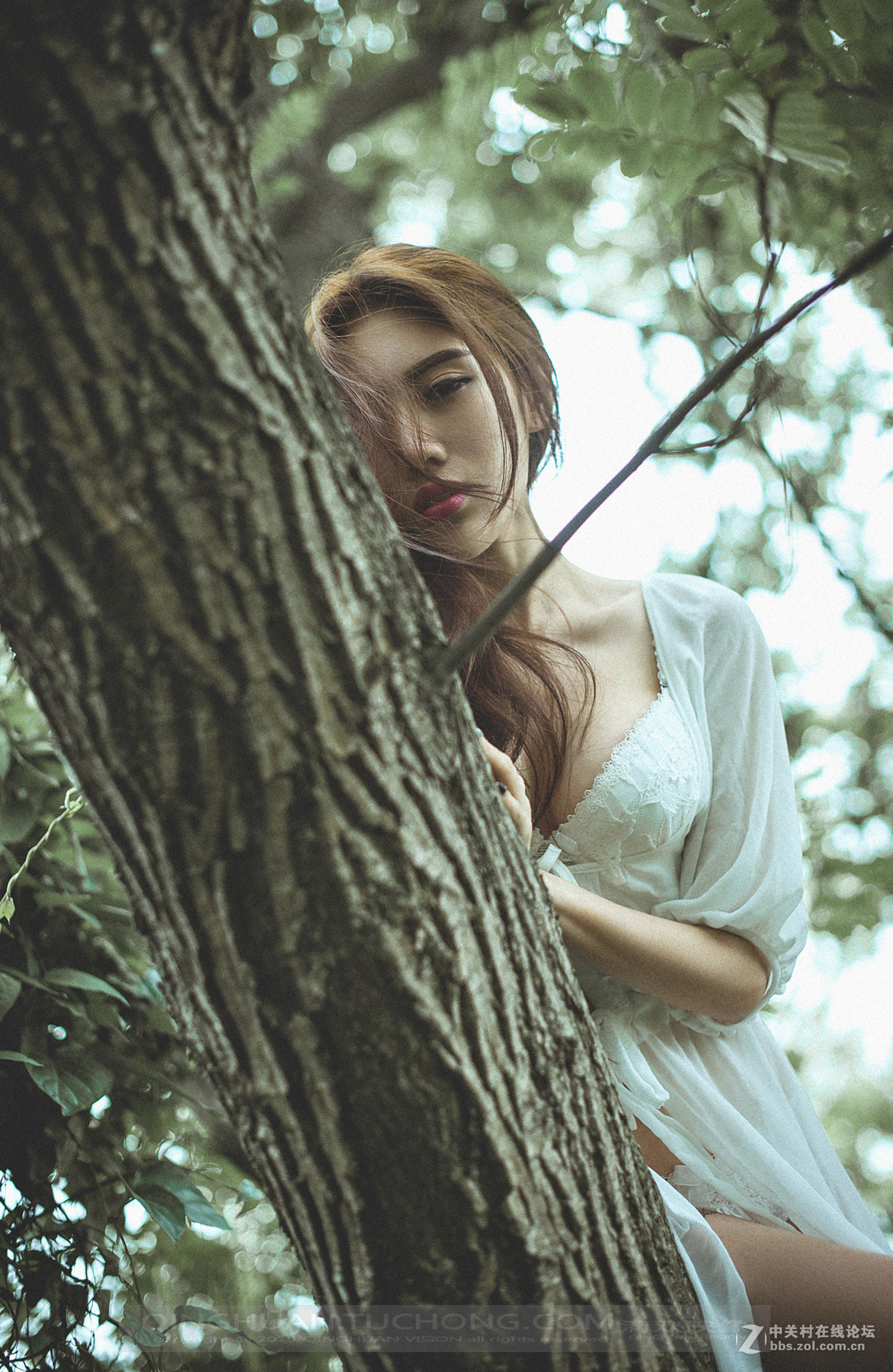 【清欢映像】放逐