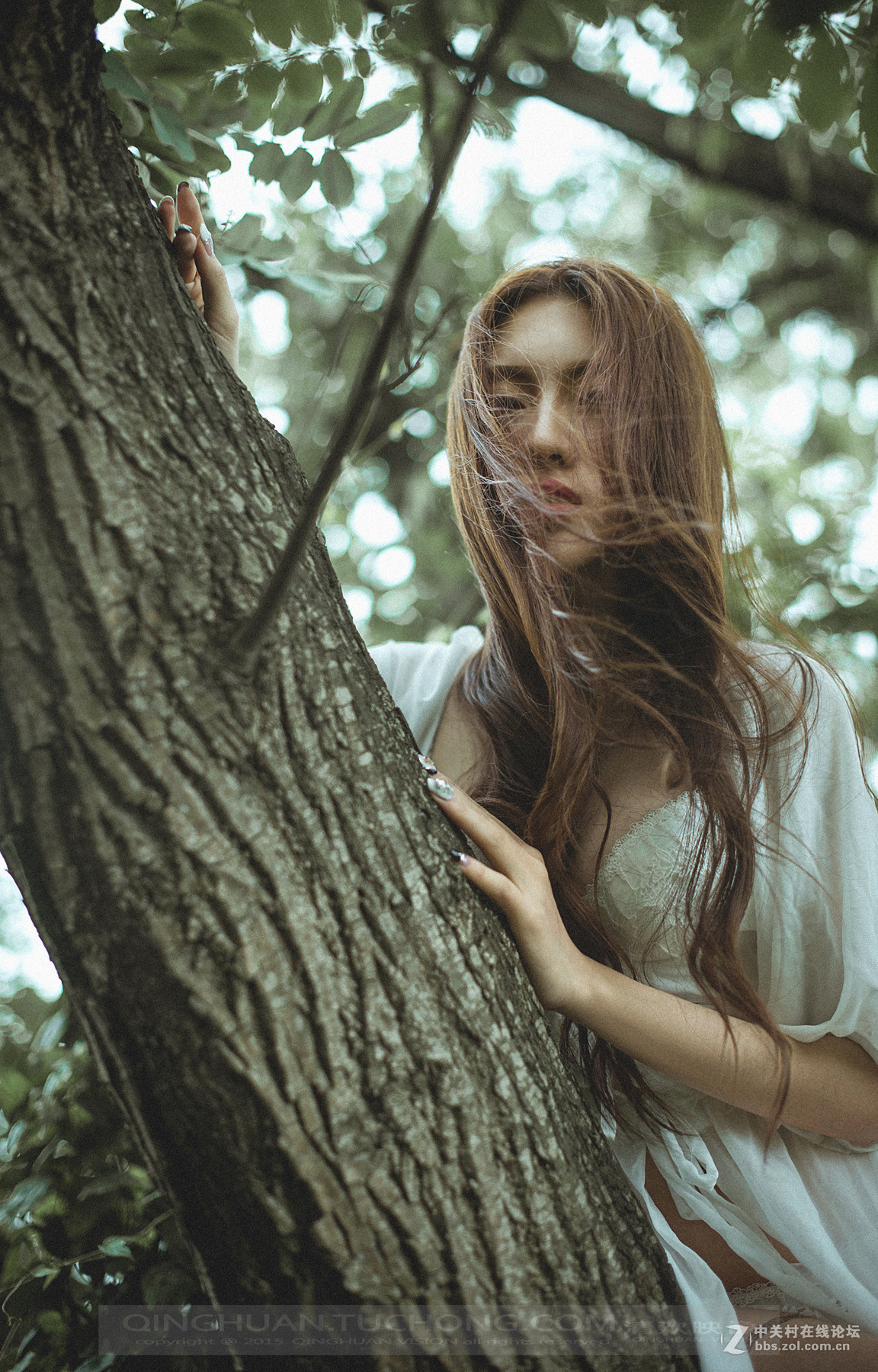 【清欢映像】放逐