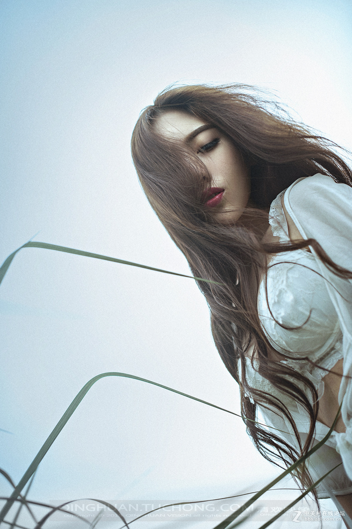 【清欢映像】放逐