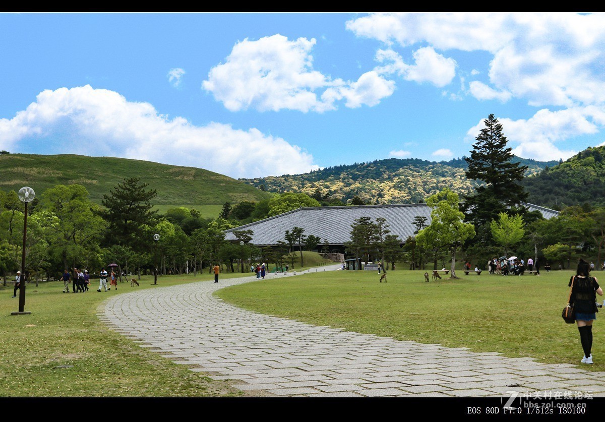 为感谢逍遥版主长期对SX10小版的支持，发一帖岛国风光致谢