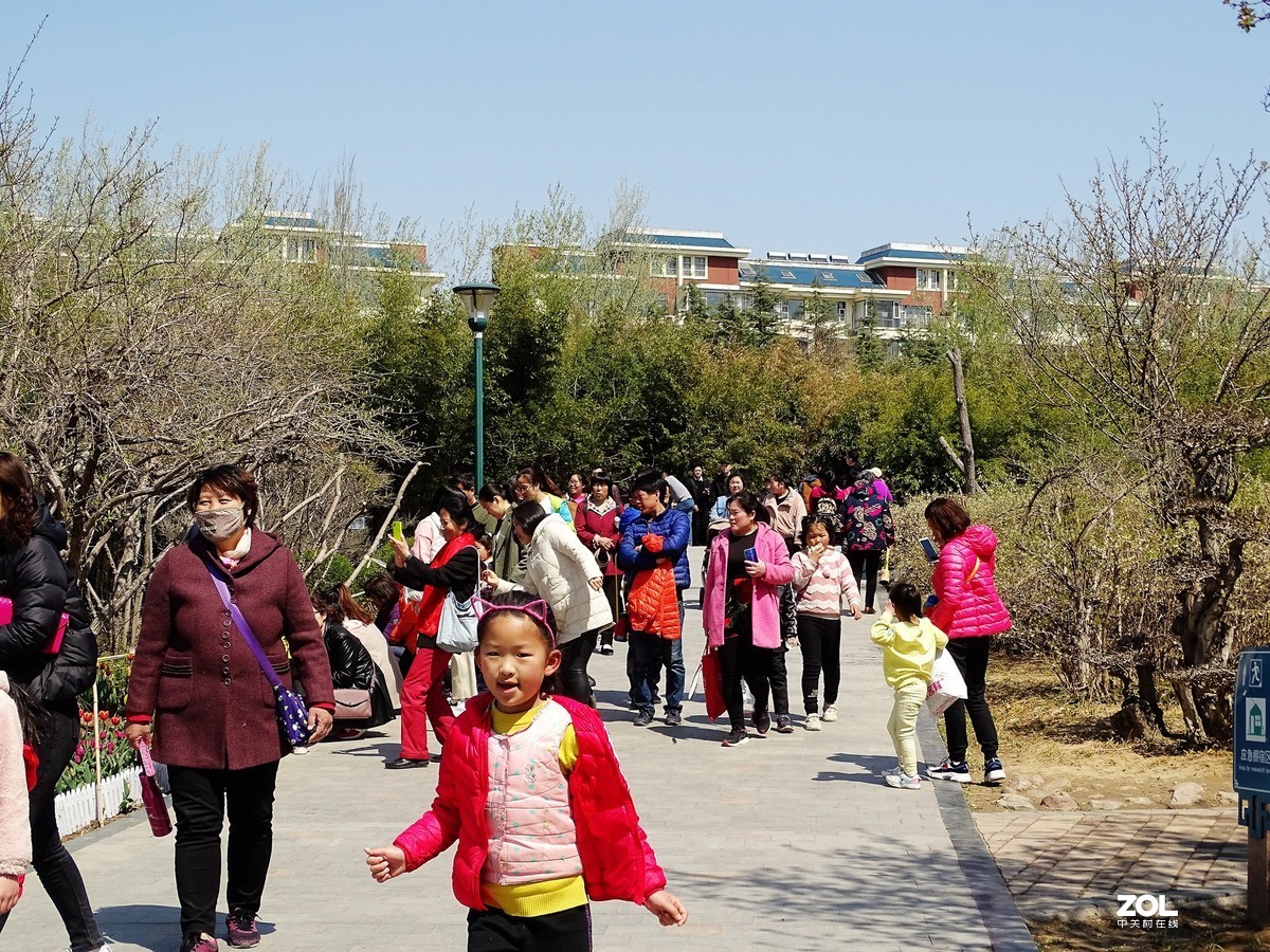 植物园随拍（2019.04-4）