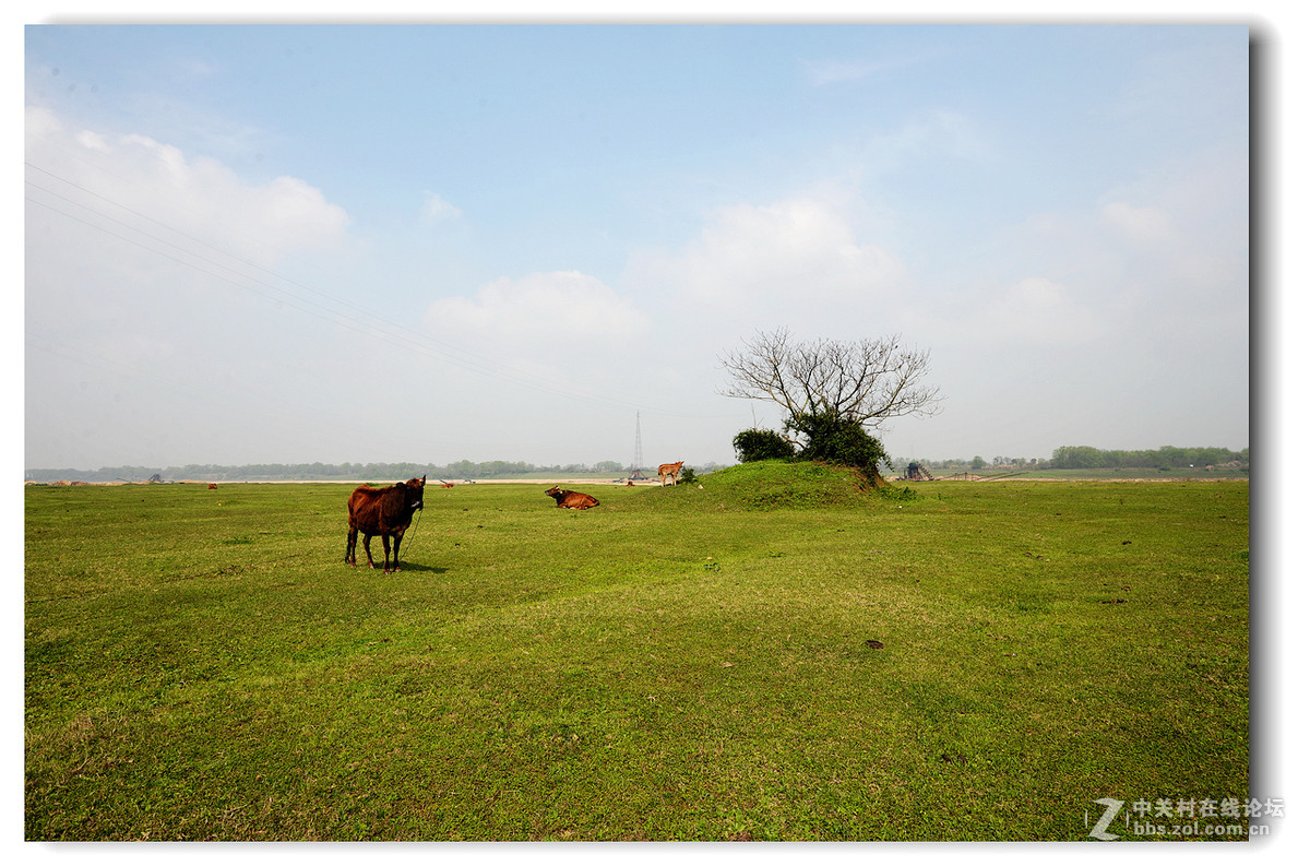 郊外田园小景片片