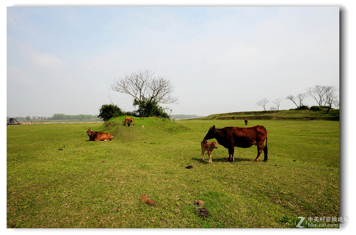 郊外田园小景片片