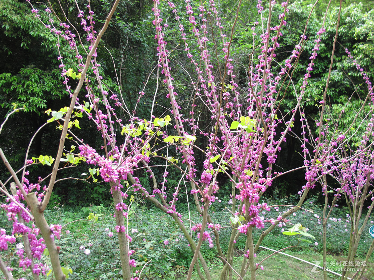 一组春天的气息