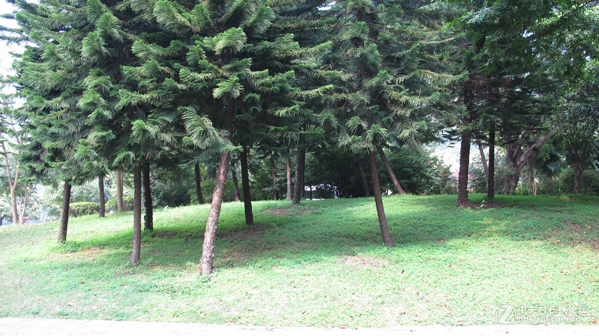 一组春天的气息