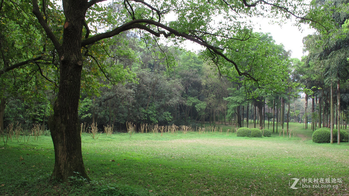 一组春天的气息