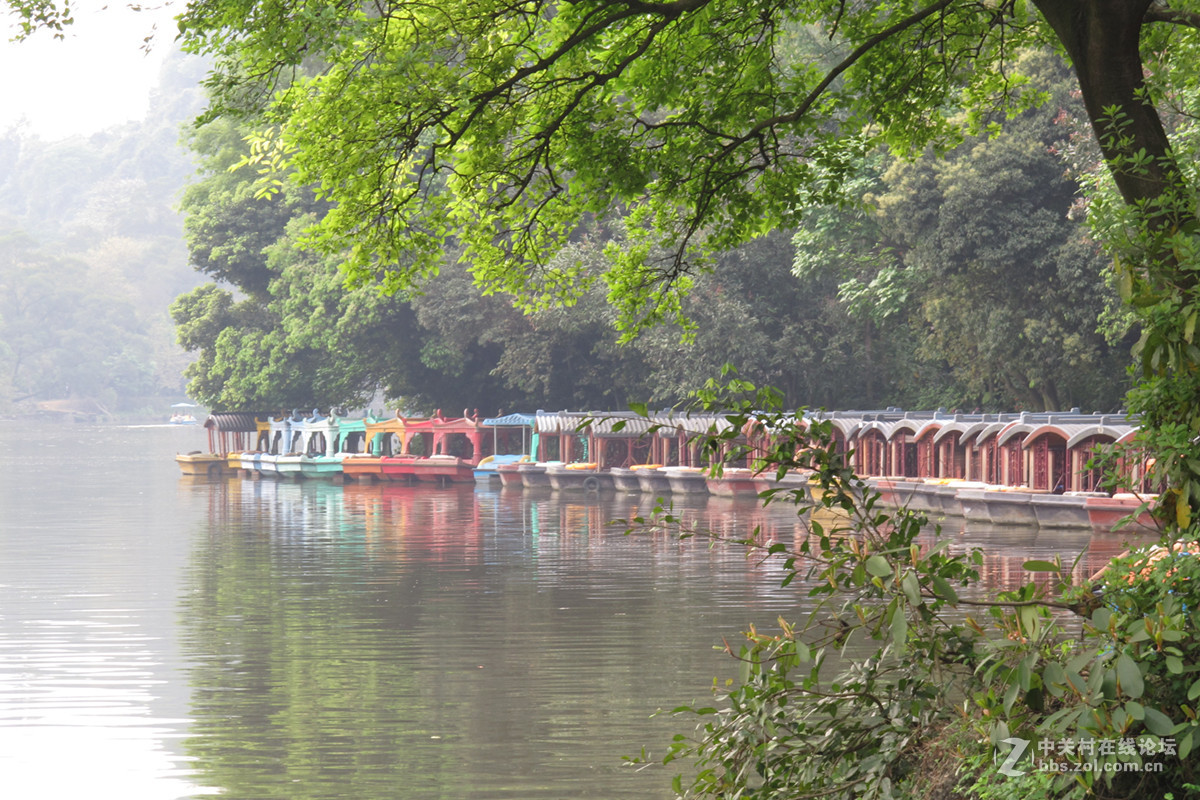 一组春天的气息