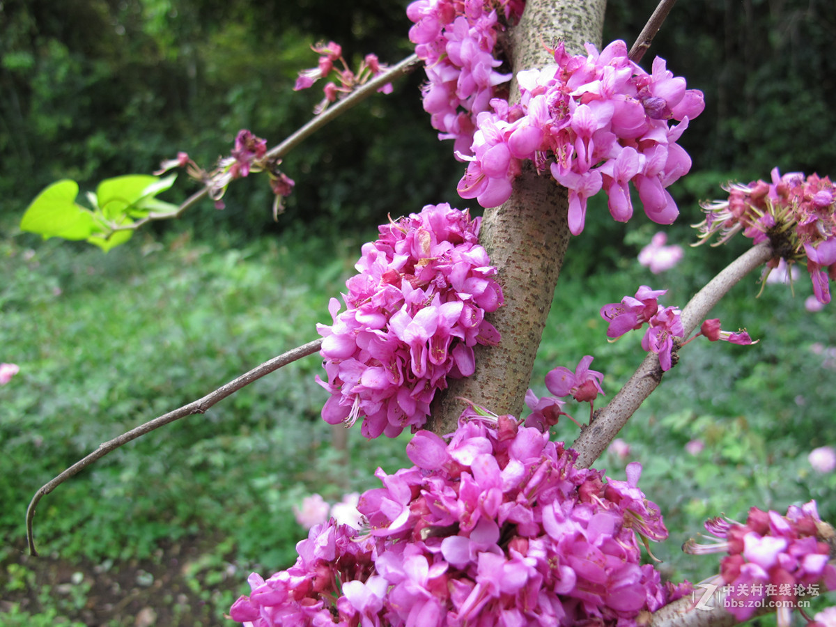 一组春天的气息