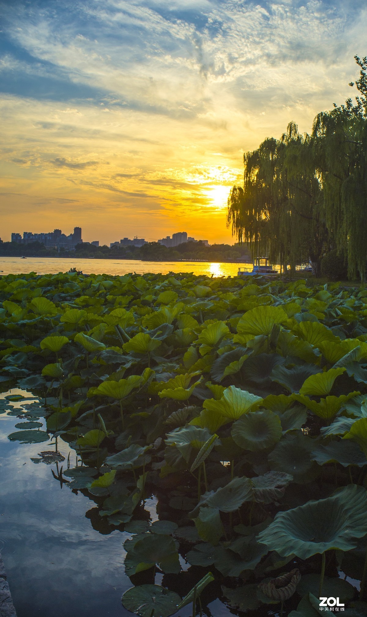 天穹之下      明湖景色