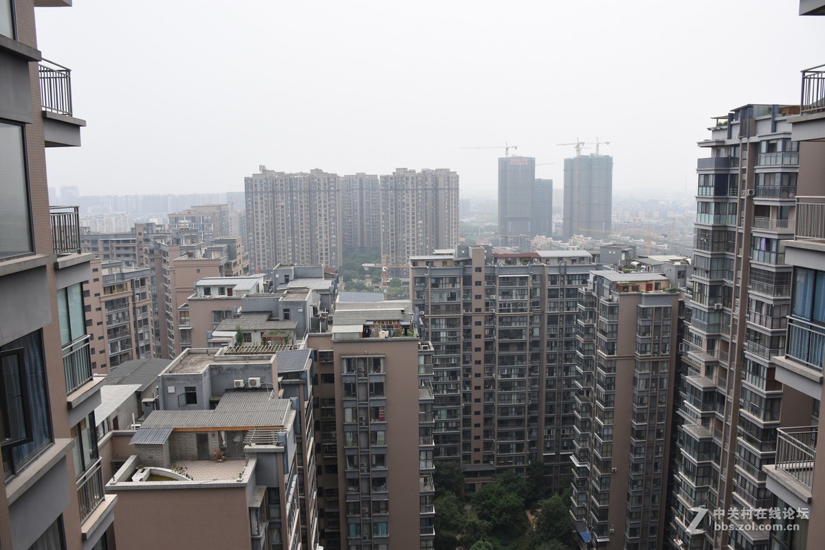 为什么照片不是很清晰呢？
