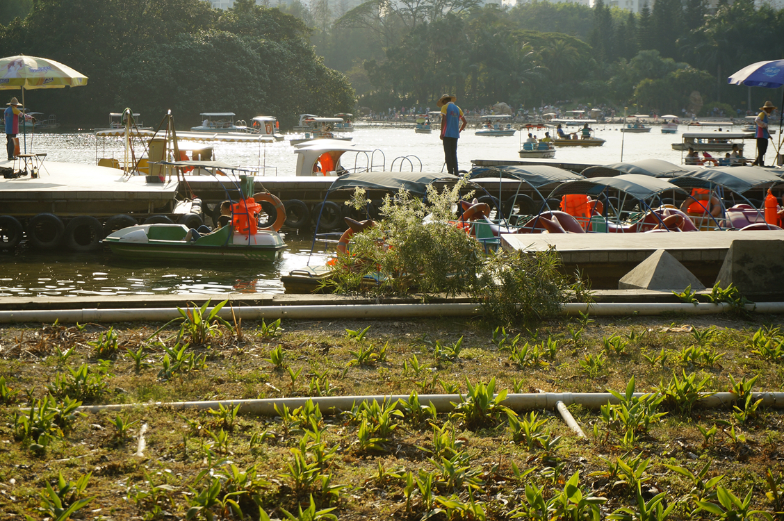 到公园散步拍的