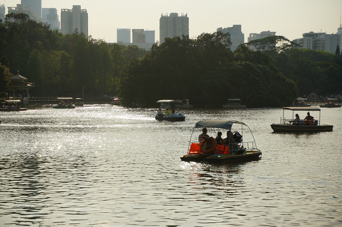到公园散步拍的