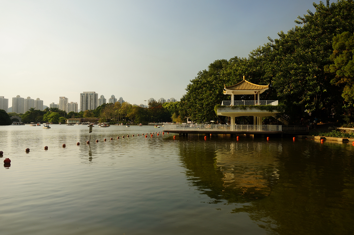 到公园散步拍的