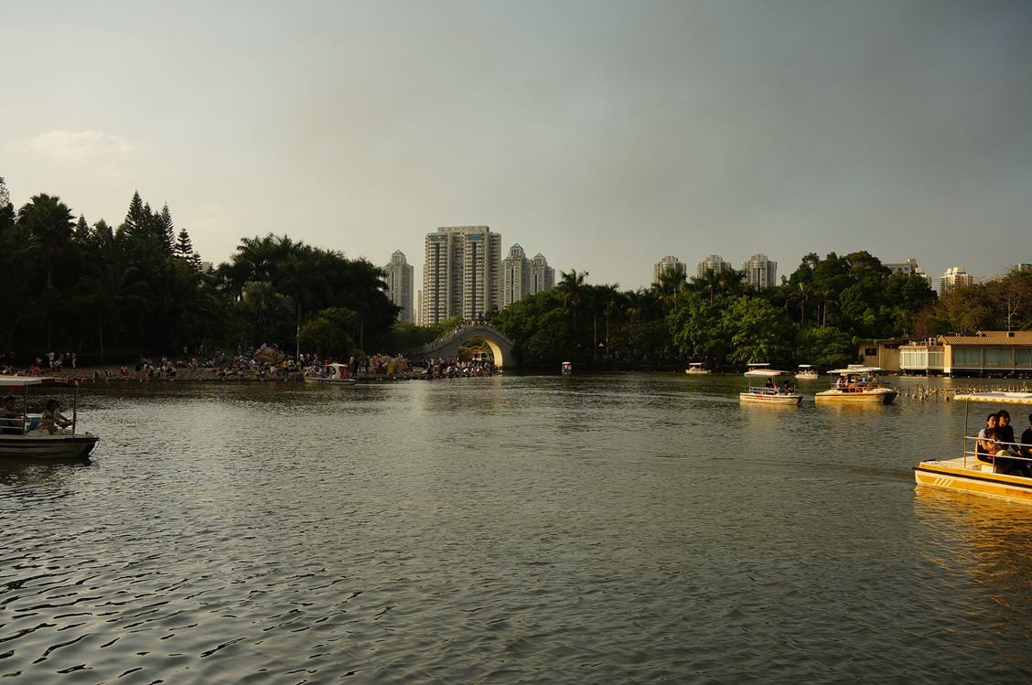 到公园散步拍的