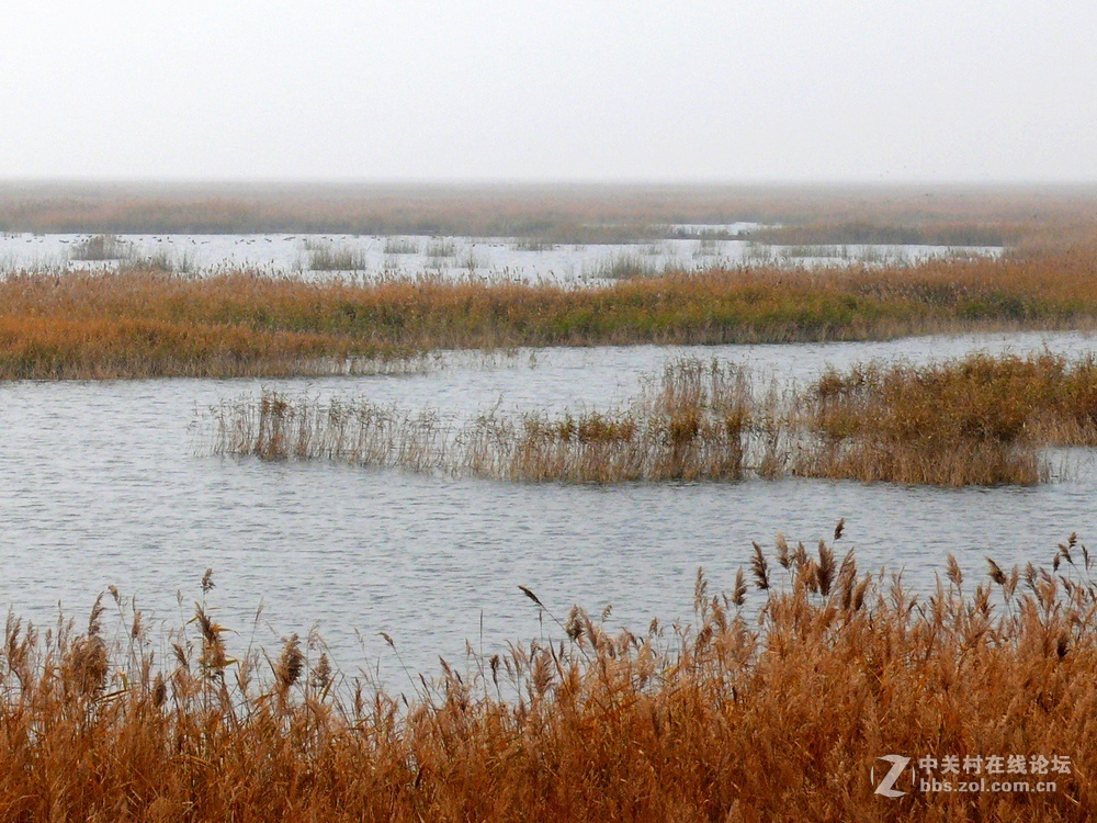 海兴湿地组图