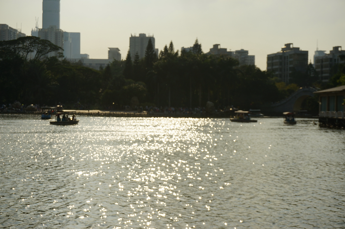 到公园散步拍的