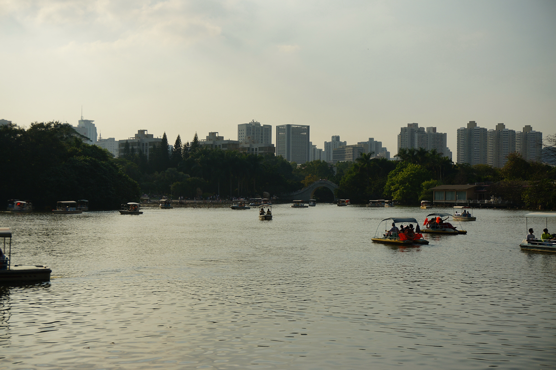 到公园散步拍的