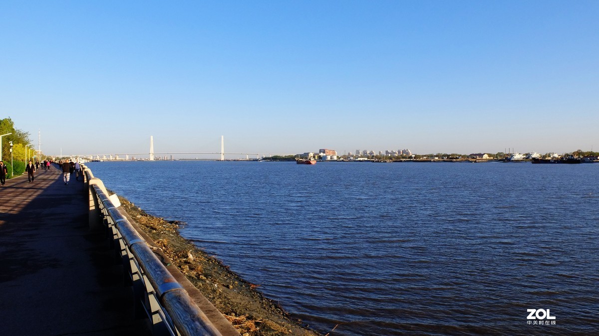 大辽河初夏风光美