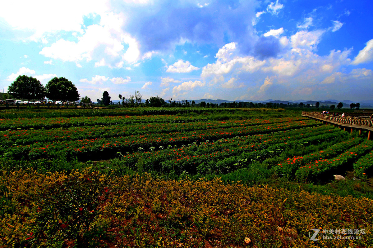 贵卅[威宁草海]隨拍十四