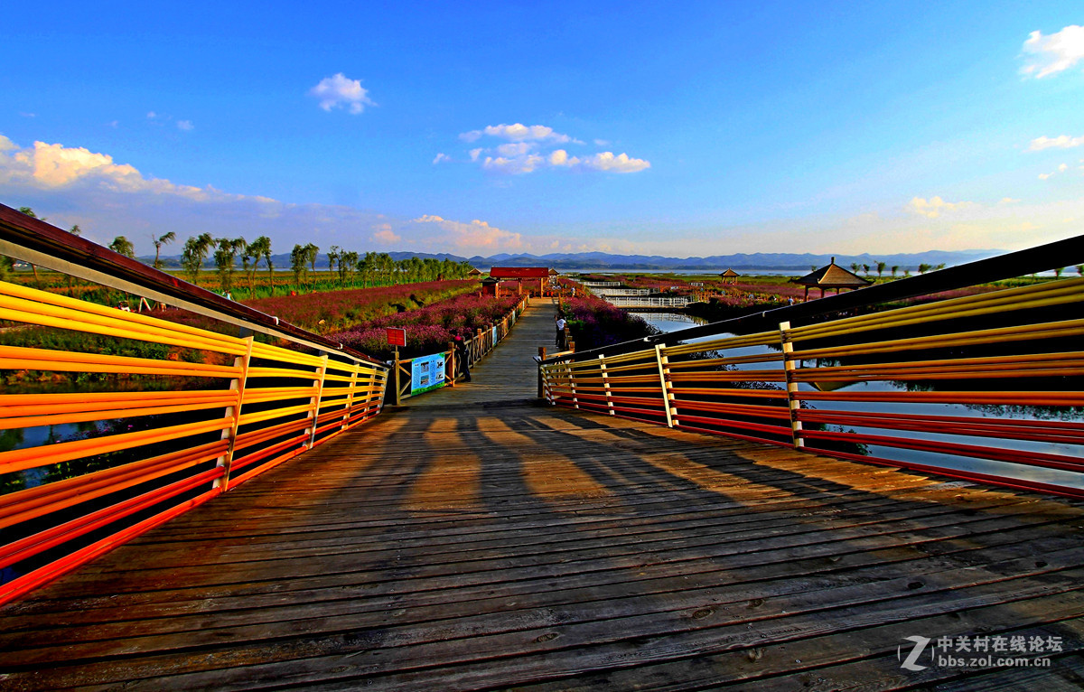 贵卅[威宁草海]隨拍十四