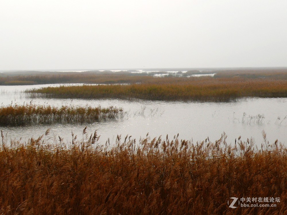 海兴湿地组图