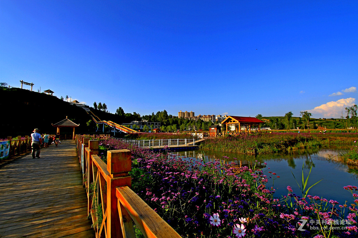 贵卅[威宁草海]隨拍十四