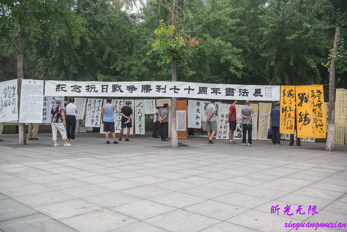牢记历史 珍爱和平----裕西书友会纪念抗日战争胜利七十周年书法展