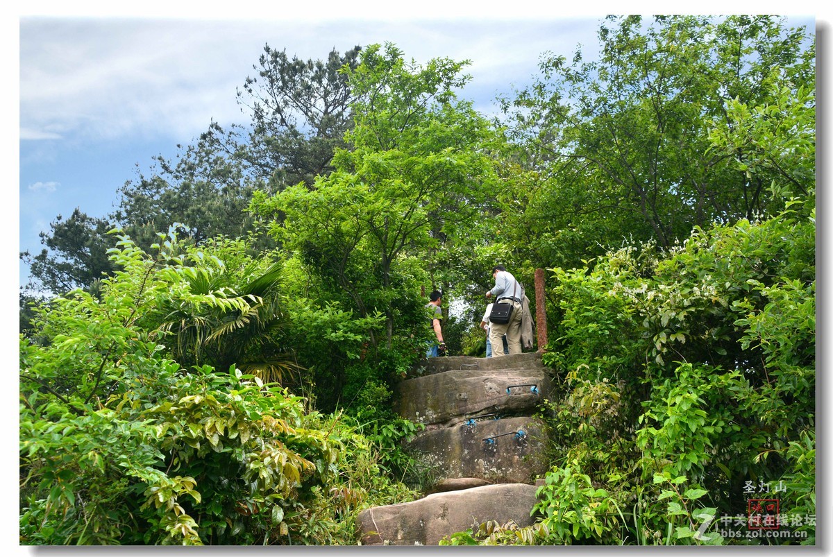圣灯山森林公园