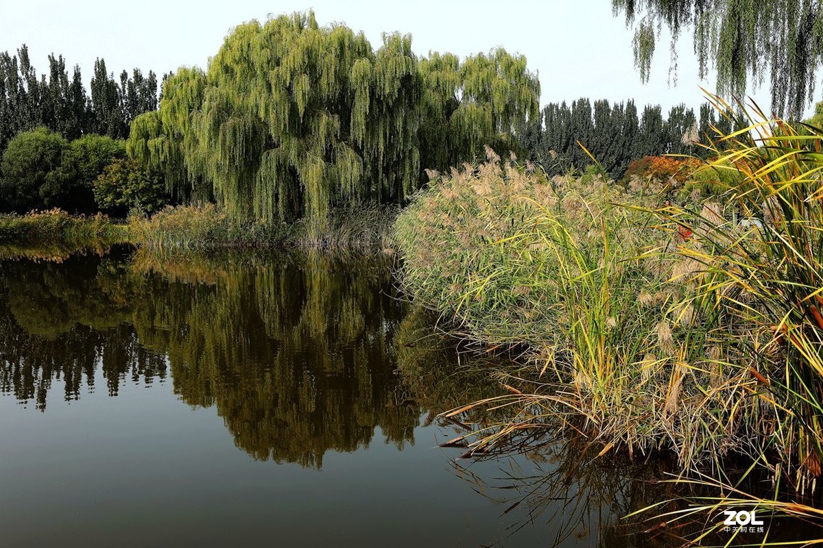 将府公园   》》》》