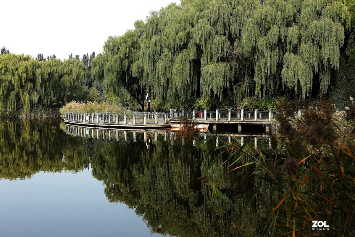 将府公园   》》》》