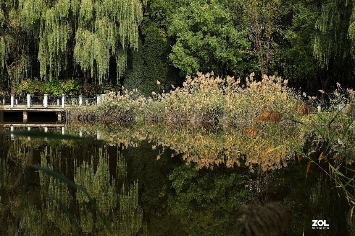 将府公园   》》》》