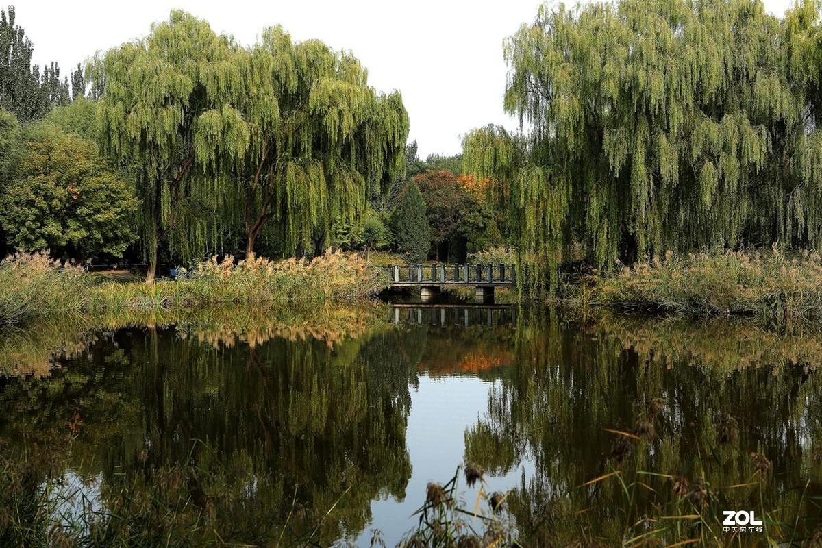 将府公园   》》》》