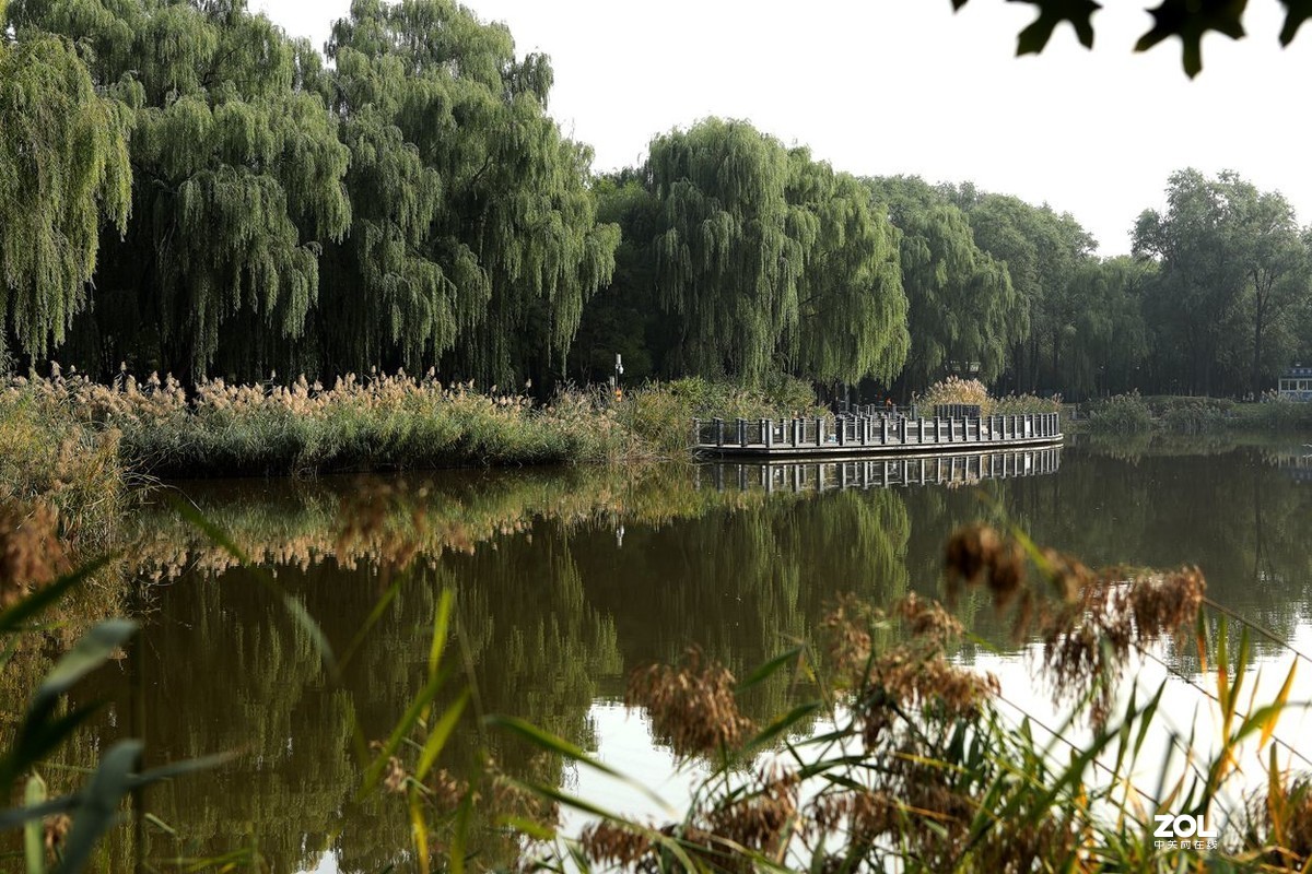 将府公园   》》》》