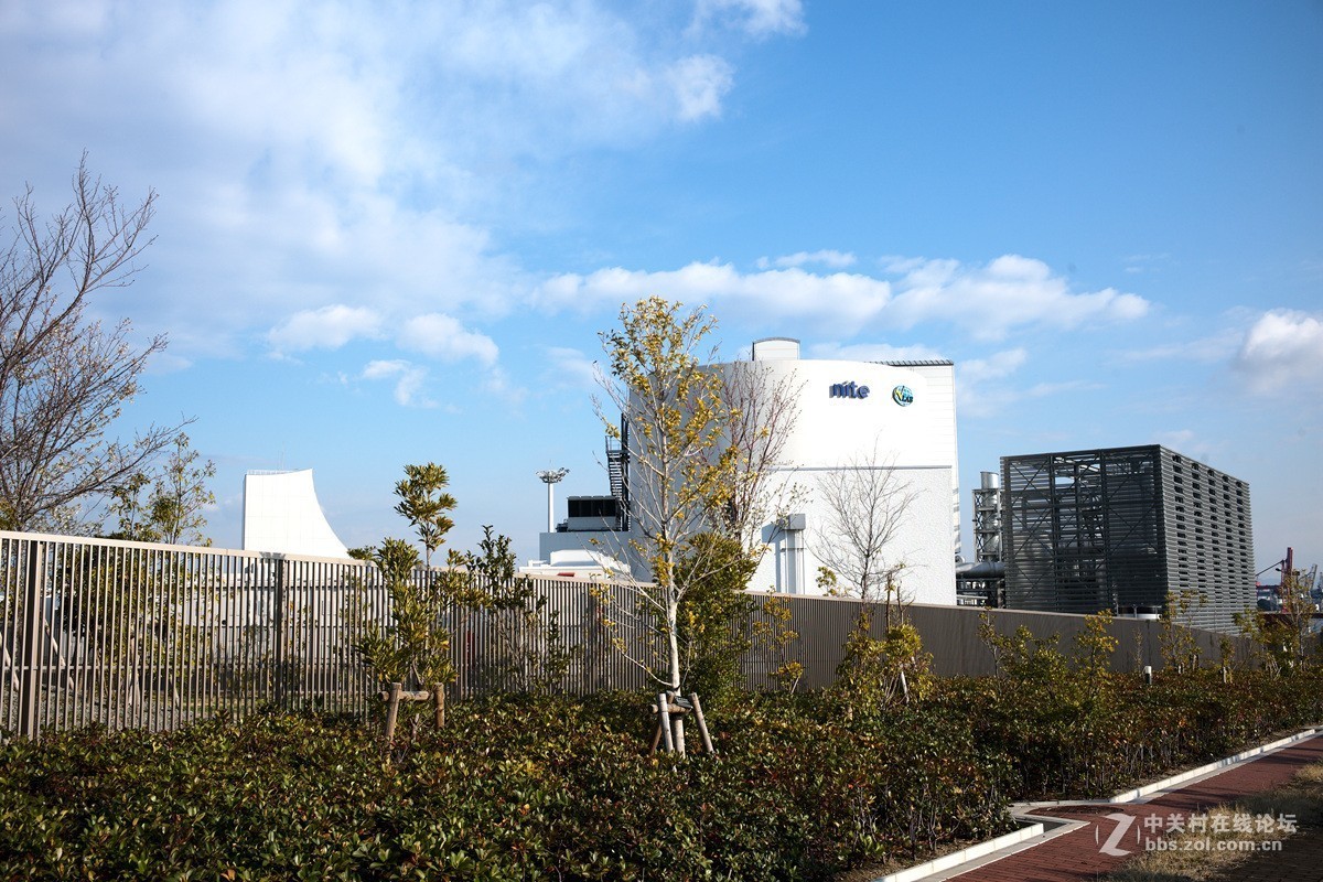 晨拍【日本海】