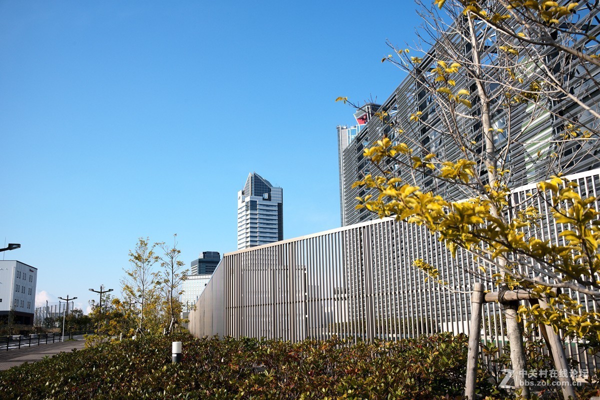 晨拍【日本海】