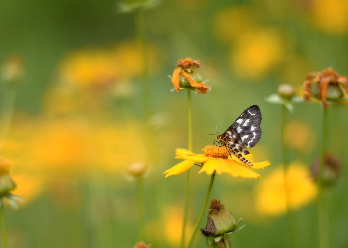 大宝贝终于有心情拍照了，不容易啊，越大越不想拍了！D800E加适马50 1.4