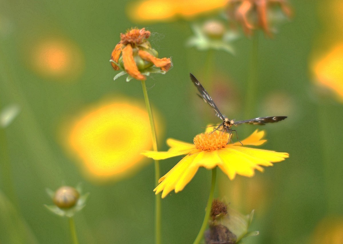大宝贝终于有心情拍照了，不容易啊，越大越不想拍了！D800E加适马50 1.4