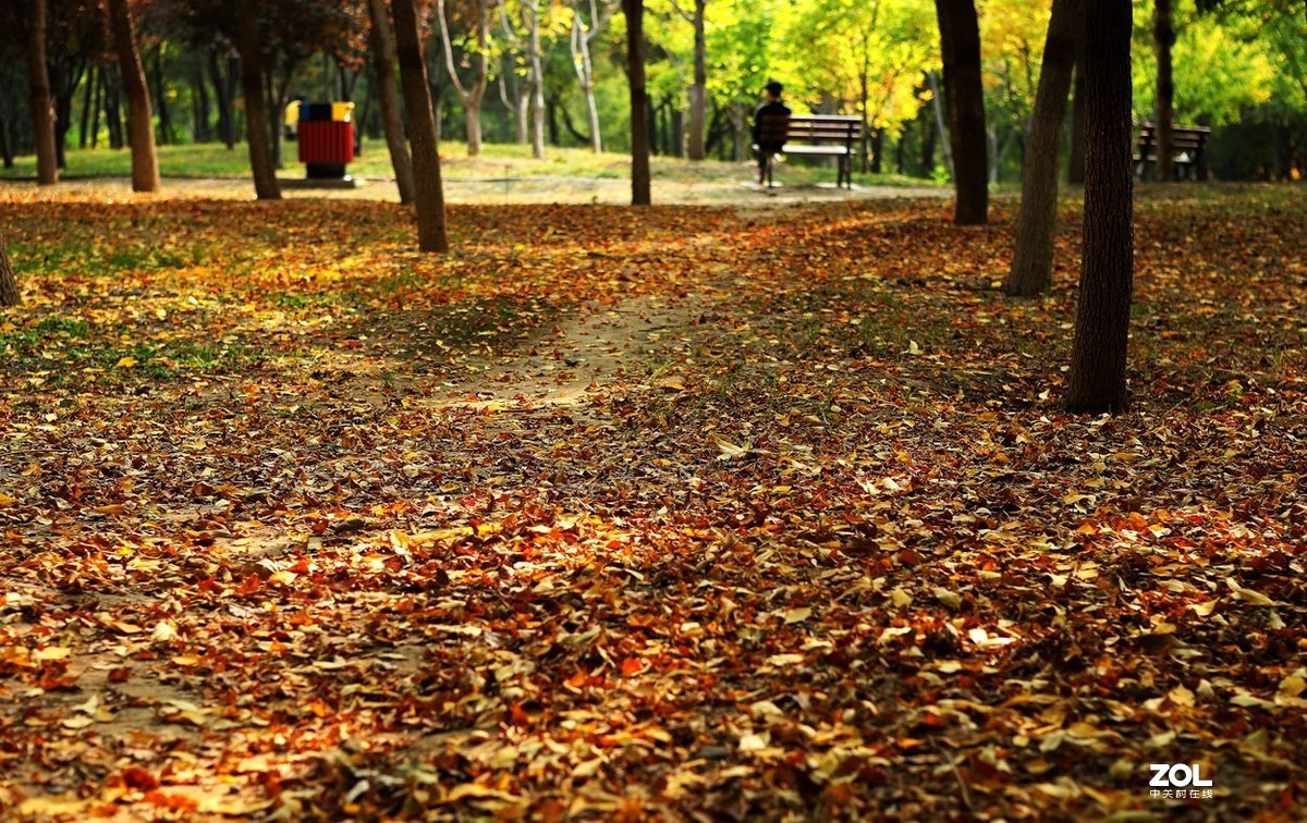 将府公园   》》》》