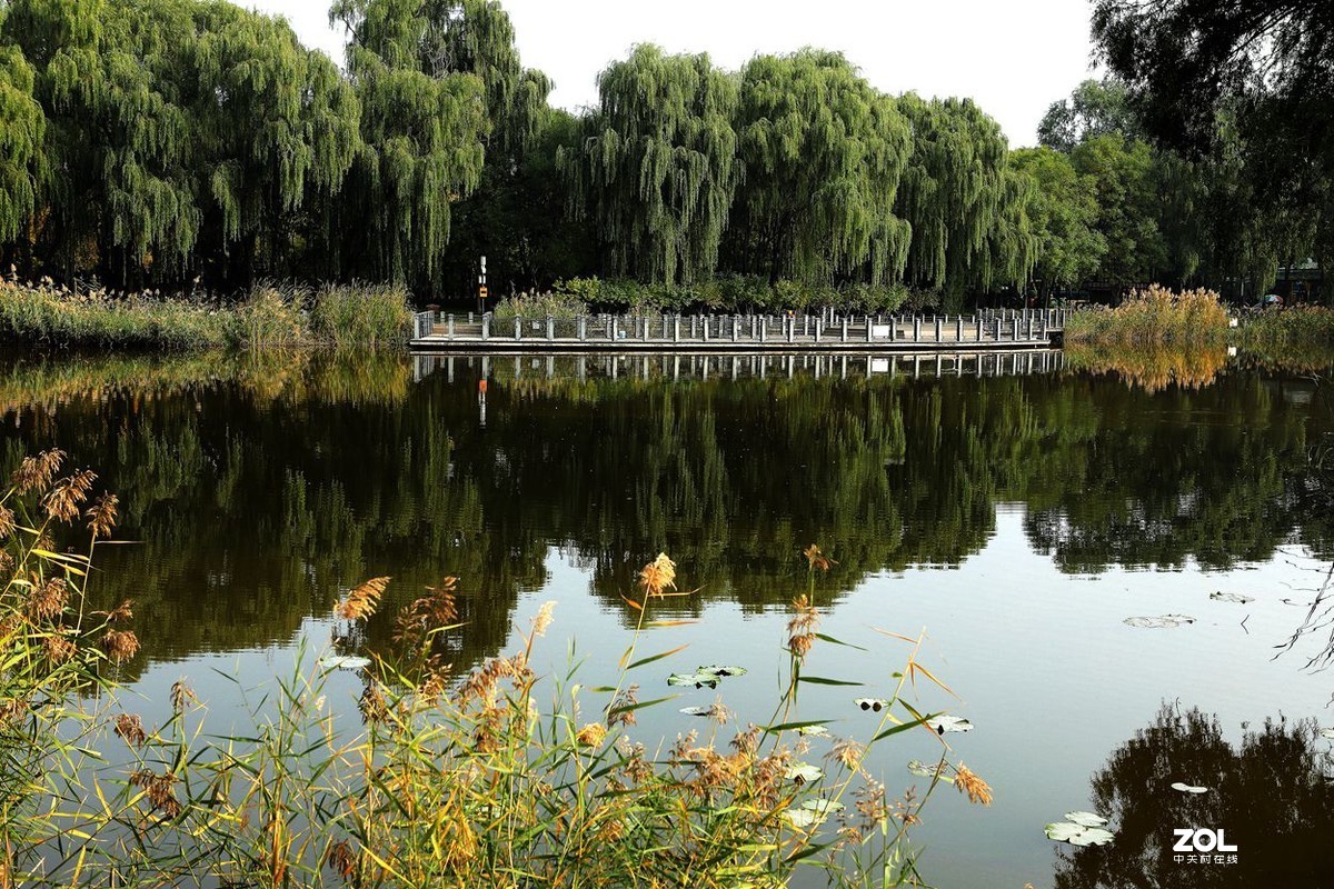 将府公园   》》》》