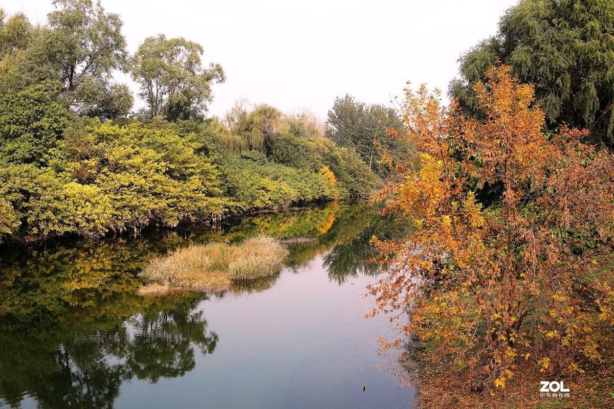 将府公园   》》》》