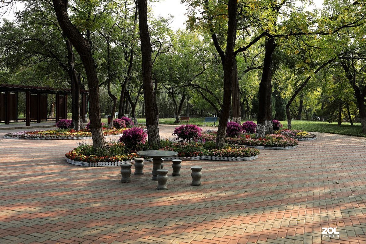 将府公园   》》》》