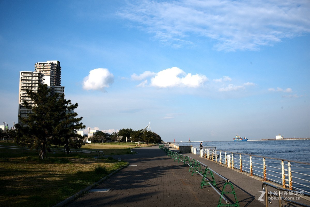晨拍【日本海】