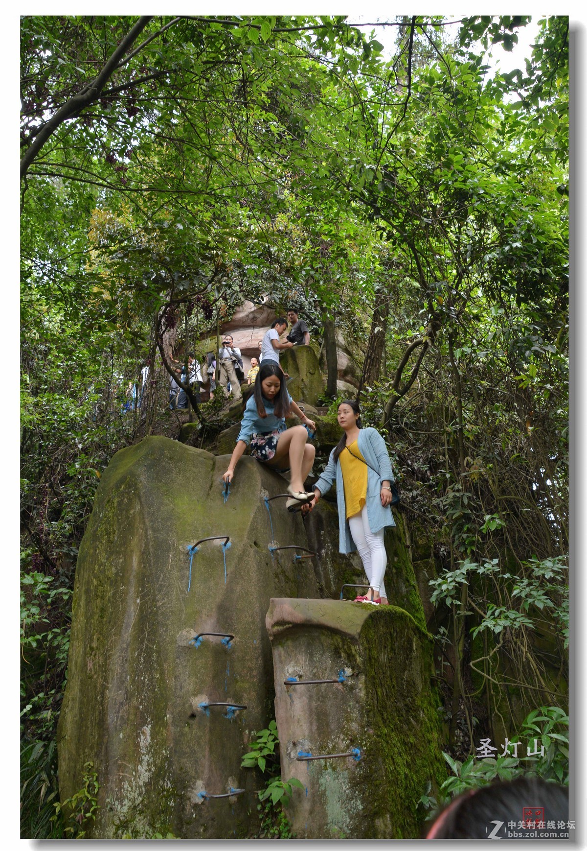 圣灯山森林公园