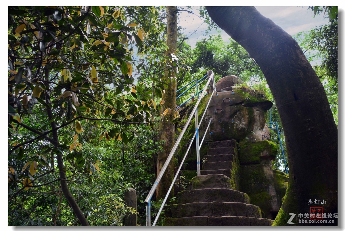 圣灯山森林公园