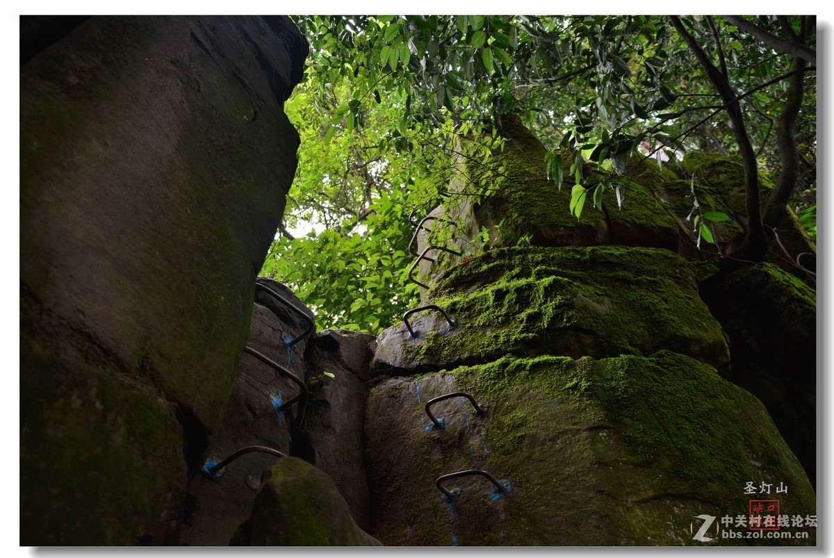 圣灯山森林公园